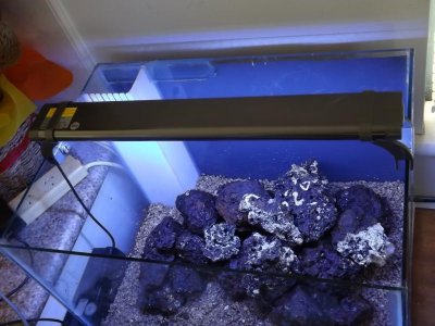 nano tank setup 006.jpg