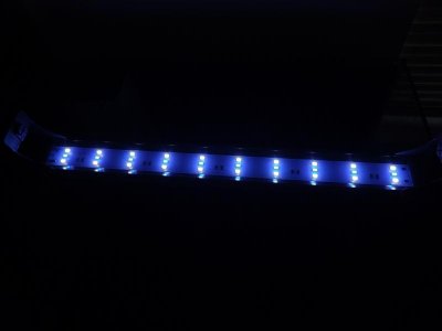 nano tank setup 002.jpg