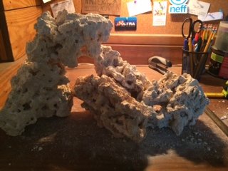 nano 5.JPG