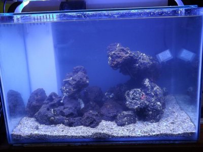 new scape 007.jpg