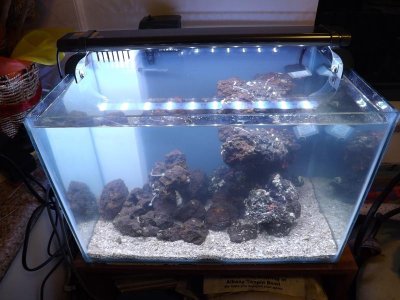 new scape 009.jpg