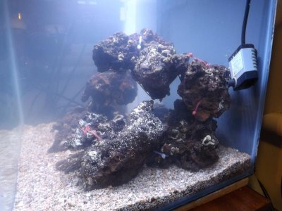new scape 008.jpg