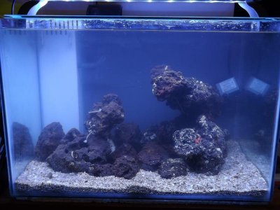 new scape 006.jpg