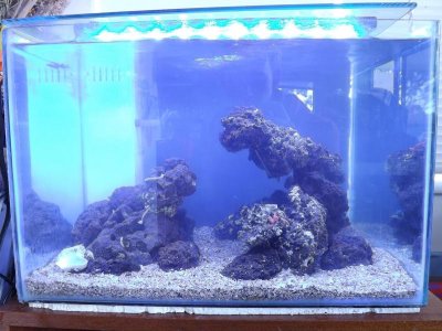 new scape.jpg