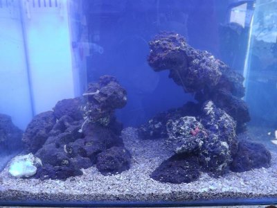 nice scape 002.jpg