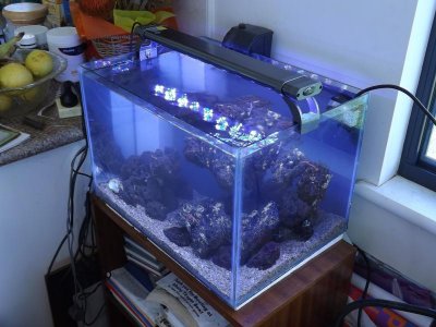 nice scape 003.jpg