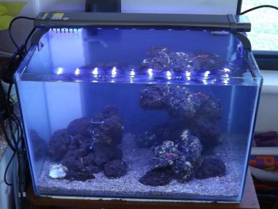 nice scape 004.jpg