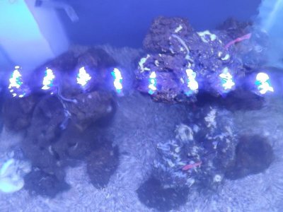 nice scape 001.jpg