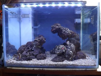 clear water 001.jpg clear water 001.jpg