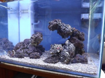 clear water 002.jpg clear water 002.jpg