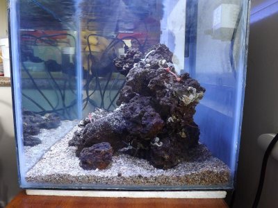 clear water 003.jpg clear water 003.jpg