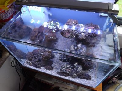 clear water 004.jpg clear water 004.jpg