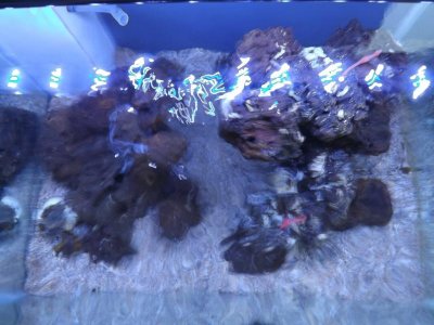 clear water 005.jpg clear water 005.jpg