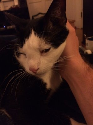 ImageUploadedByTapatalk1401079445.185768.jpg ImageUploadedByTapatalk1401079445.185768.jpg