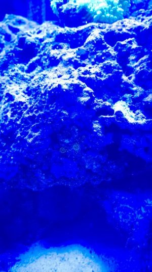 WP_20140523_005.jpg