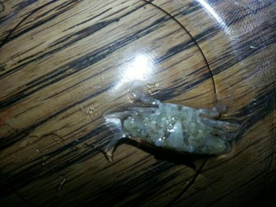 uploadfromtaptalk1401155693624.jpg uploadfromtaptalk1401155693624.jpg