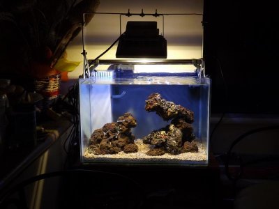 flood light 004.jpg flood light 004.jpg