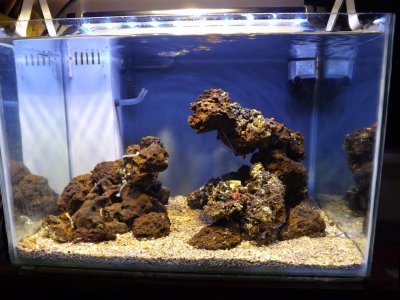 flood light 001.jpg flood light 001.jpg