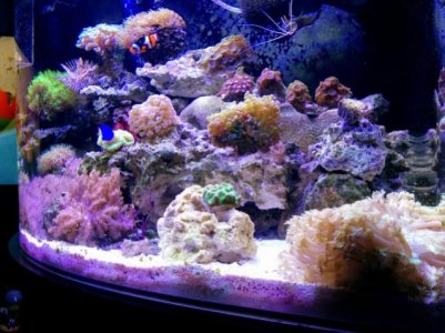 photo3.jpg
