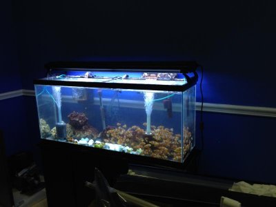 IMG_3479.jpg