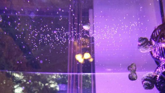 uploadfromtaptalk1401238168805.jpg uploadfromtaptalk1401238168805.jpg