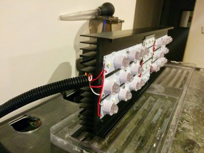 photo7.JPG