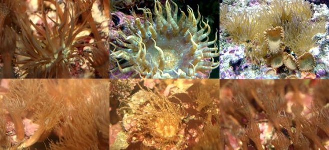 Screen Shot 2014-05-28 at 4.37.29 PM.jpg