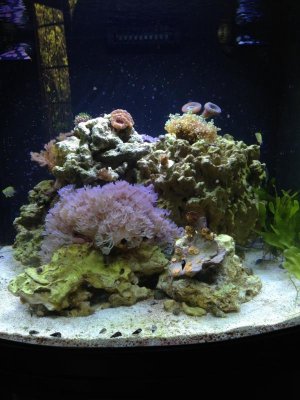 nano may 2014.jpg