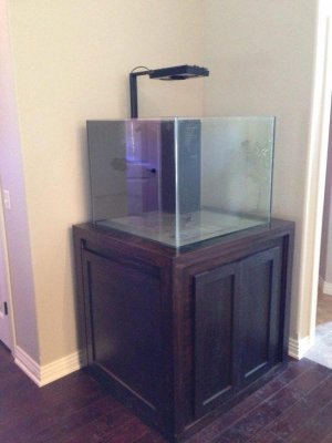 ImageUploadedByTapatalk1401599665.614889.jpg ImageUploadedByTapatalk1401599665.614889.jpg