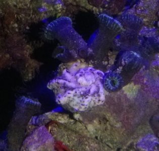 snail-2.jpg