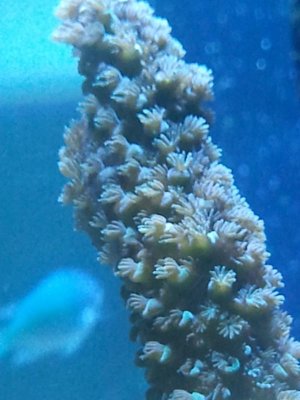 2014-06-03 15.50.43.jpg