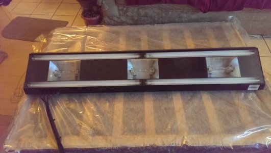 2014-04-29 19.46.29.jpg