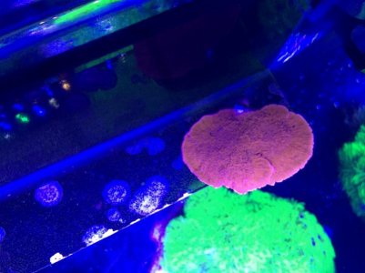 IMG_0547 (800x600).jpg