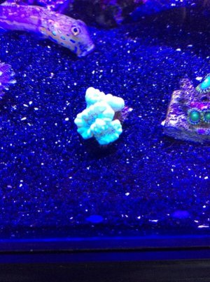 IMG_0522 (600x800).jpg