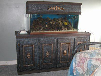 First Large Tank Stand.jpg