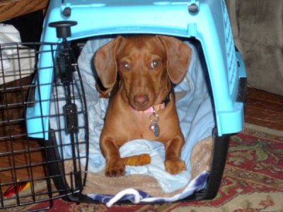 crate.jpg