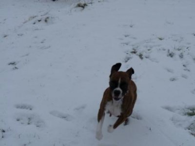 leila%20snow.JPG