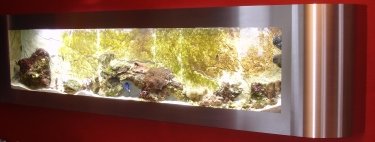 flatscreenaquarium 280 zeeaquarium zoutwater zoetwater tropische vissen restaurant.jpg