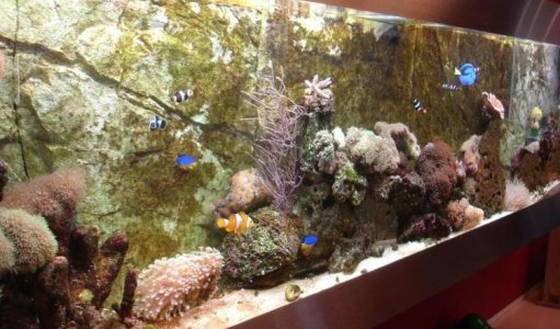 overzicht flatscreenaquarium FlatAQUA 280 tropisch zeeaquarium nano aqurium wall fishtank 1.jpg