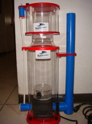 fish tank 009.jpg