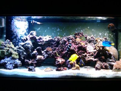 2010-01-22 15.29.46.jpg