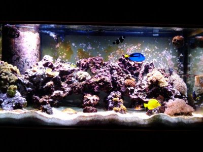 2010-02-22 20.56.17.jpg