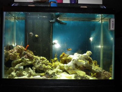 DSCN1056.jpg