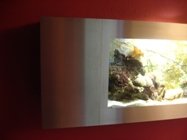 overzicht flatscreenaquarium FlatAQUA 280 tropisch zeeaquarium nano aqurium wall fishtank 5.JPG