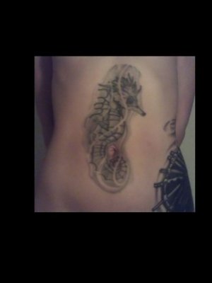 Seahorse2007.jpg