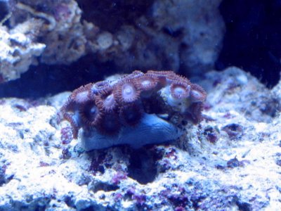IMG_3632.jpg