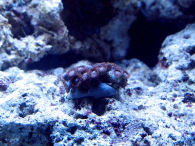 IMG_3637.jpg
