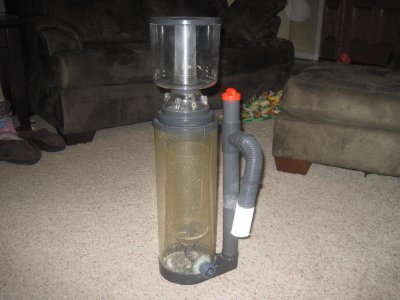 skimmer.jpg