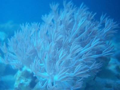 fish tank 010.jpg