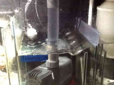 ImageUploadedByTapatalk1402315764.272682.jpg ImageUploadedByTapatalk1402315764.272682.jpg